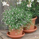 Bloempot Cylindro terra 20 cm