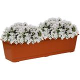 Plantenbak terracotta rechthoekig 60 x 17,5 x 14,5 cm - Bloembakken/plantenbakken voor binnen/buiten