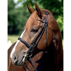 HKM Hoofdstel Stang en Trens Zwart Full