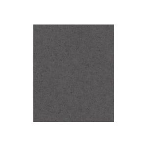 Rasch Behang 520927 - Donkergrijs vliesbehang met betonlook uit de Concrete collectie - 10,05 m x 0,53 m (l x b), antraciet