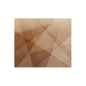 Rasch Behang 521931 - fotobehang op vlies met geometrische vormen in terra uit de collectie Concrete - 3,00m x 3,50m (l x b)