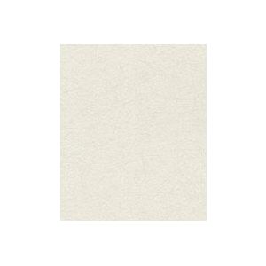 Rasch Behang vliesbehang (universeel) wit 10,05 m x 0,53 m #ROCKNROLLE 541335