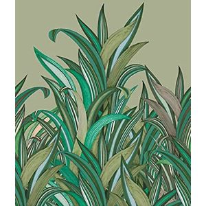 Rasch Behang 54226 uit de collectie Amazing fotobehang met kleurrijke, natuurlijke grassen in groen, lichtblauw en lichtbruin achtergrond vliesbehang in grootte: 2,80 2,00 m (L x B) behang