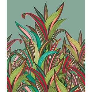 Rasch Behang 542233 uit de collectie Amazing fotobehang met kleurrijk motief natuurlijke grassen, rood en turquoise op achtergrond in lichtgroen vliesbehang in grootte: 2,80 2,00 m (L x B) behang