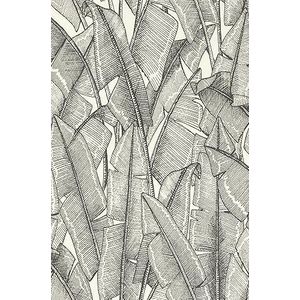 Rasch Behang 690408 - Wit vliesbehang met palmbladeren in zwart, bananenpalm, jungle-behang - 10,05m x 0,53m (LxB)