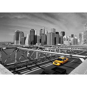 Rasch Behang 893052 - fotobehang op vlies met New York City skyline in zwart-wit - 2,65m x 3,71m (LxB)