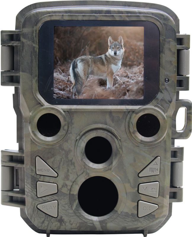 Braun - SC800 Mini - Scouting Cam - 8 MP - CMOS - Nachtzicht tot 20 m