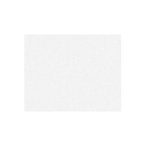 OVERSCHILDERBAAR VLIESBEHANG | Structuur - schuimvinyl - A.S. Création Meistervlies