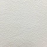 AS Creation - Schuimvinyl Behang - Spuitwerk - Geschikt voor Oneffenheden