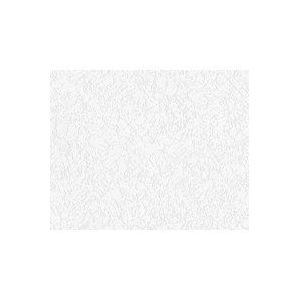 OVERSCHILDERBAAR VLIESBEHANG | Structuur - schuimvinyl - A.S. Création Meistervlies