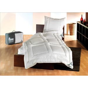 Frankenstolz - 4 Seizoensdekbed - Tencel Afrikaans katoen - 200x220