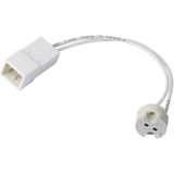 Paulmann - Universele Fitting - Voor G4 / GX5,3 - Lage Spanning - 12 V