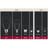 Paulmann - LED Filament Lamp - Warmwit - Glas - Energiezuinig