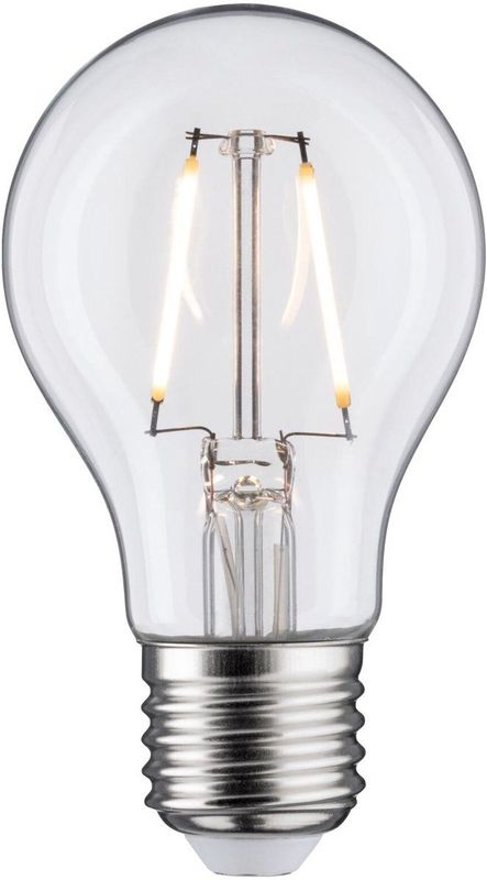 Paulmann - LED Filament Lamp - Warmwit - Glas - Energiezuinig