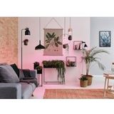 Paulmann - Plantenlamp - Groen - LED - E27 Fitting