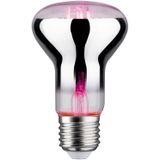 Paulmann - Plantenlamp - Groen - LED - E27 Fitting