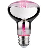 Paulmann - 28733 - LED Lamp - Roze - Plantenlicht - 6,5W - E27