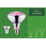 Paulmann - Plantenlamp - Groen - LED - E14 Fitting