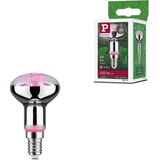 Paulmann - Plantenlamp - Groen - LED - E14 Fitting