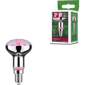 Paulmann - Plantenlamp - Groen - LED - E14 Fitting