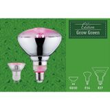 Paulmann - Plantenlamp - Verlichting - Groen - E27-Lampvoet - LED-Techniek