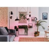 Paulmann - Plantenlamp - Verlichting - Groen - E27-Lampvoet - LED-Techniek