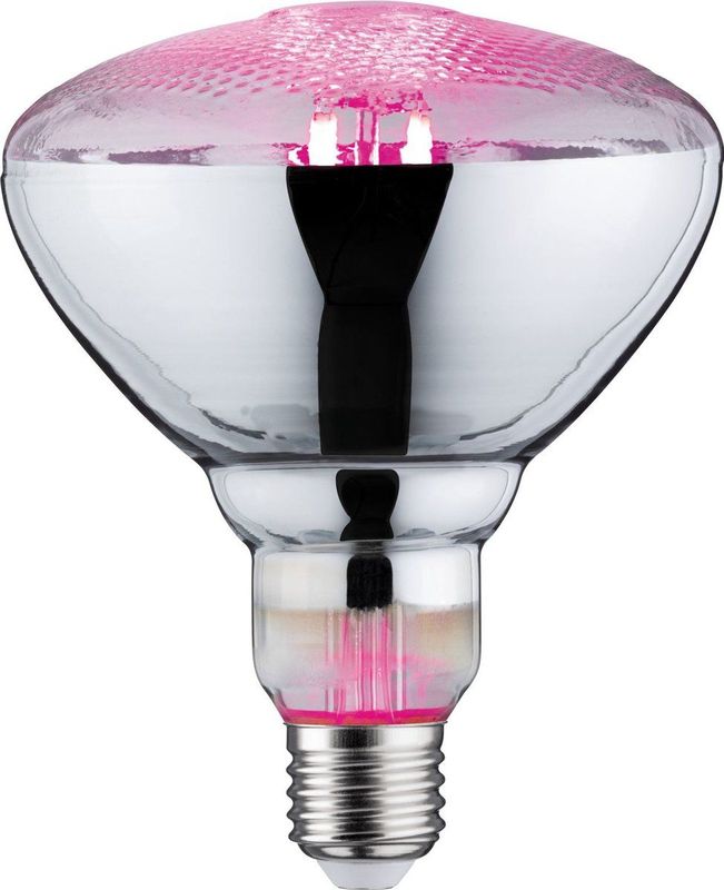 Paulmann - Plantenlamp - Verlichting - Groen - E27-Lampvoet - LED-Techniek