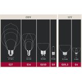 Paulmann - Filament-Kogellamp - Warmwit Licht - 5 Watt - Eye Friendly