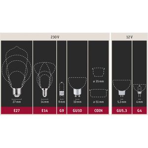 Paulmann 28804 LED lamp reflector 440lm 4,9 W goudlicht zwart, goud verlichtingsmiddel verlichtingssysteem 1900 K GU5,3