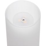 Paulmann - LED Lamp - Warmwit - Dimbaar - Voor Tafel- en Hanglampen