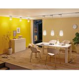 Paulmann - LED Lamp - Warmwit - Dimbaar - Voor Tafel- en Hanglampen