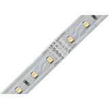 70618 Verbinder-Set Kunststoff (l x b x h) 2 x 1.35 x 0.45 cm 2 St. - Paulmann