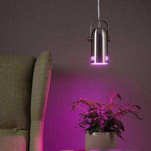 Paulmann Neordic Hanglamp Lavea  E27  max. 15W Staal geborsteld dimbaar Metaal 79768 - grijs Metaal 79768