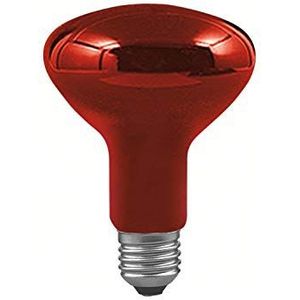 Paulmann Infraroodlamp E27 100 W (Ø x l) 95 mm x 134 mm 230 V 1 stuk(s)