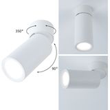 Paulmann - Zwenkbare Spotlight - Warmwit Licht - 2700 Kelvin