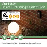 PAULMANN Plug & Shine Zigbee controller IP68 24V DC zwart