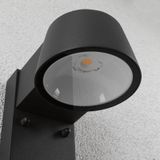 Paulmann Capea 94453 LED-buitenlamp met bewegingsmelder (wand) LED 6 W Grijs