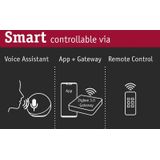 Paulmann - Circula - LED Buitenlamp - Antraciet - Geïntegreerde Schemer- en Bewegingsmelder