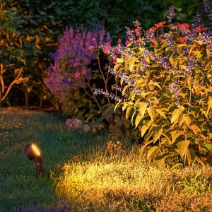 Paulmann 94728 Plug & Shine LED buitenverlichting tuinspot Sting enkele spot insectvriendelijk IP67 2200K 6,3W antraciet rond dimbaar goudlicht alu