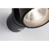 Paulmann 94830 Led-wandlamp voor buiten, bewegingsmelder, IP44, 76 x 217 mm, 3000 K, 10 W, 700 lm, 230 V, 70 graden, antraciet, aluminium, buitenlamp