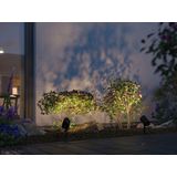 Paulmann 94849 Plug & Shine LED tuinspot Shira Smart Home Zigbee 6,5W 250lm dimbaar 455mm antraciet aluminium RGBW+