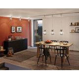 Paulmann - Drio - Lampenkap - Rookgrijs - Glas - Voor 2Easy Basic Hanglampen