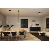 Hildor - Plafondlamp - Mat Zwart - LED - Met Smart Switch of Zigbee