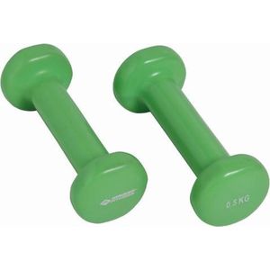 Schildkröt Fitness Dumbbells - 2 x 0.5 kg - Gietijzer - Groen