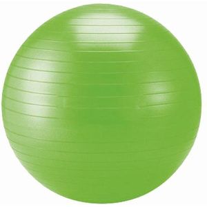 Schildkrot Fitnessbal - Ø 75 cm - Groen