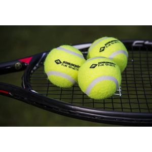 Donic Schildkröt Tennisballen Geel 3 Stuks