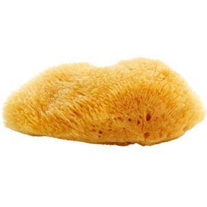 Magnum Natural - Caribische Zeespons - 10-12 cm - Lichaamsverzorging