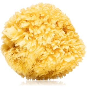 Magnum Natural Caribische Zeespons 14- 16 cm
