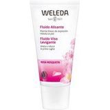 Weleda Wilde Rozen Vitaliserende Gezichtscrème Light