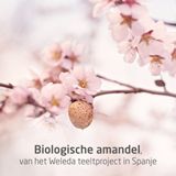 WELEDA - Verzachtende Gezichtsolie - Amandel - 50ml - 100% natuurlijk